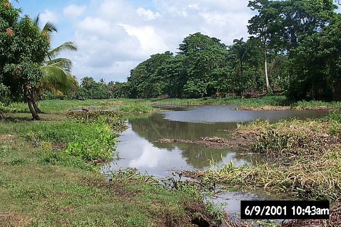 Presione en la Foto Para Ampliar